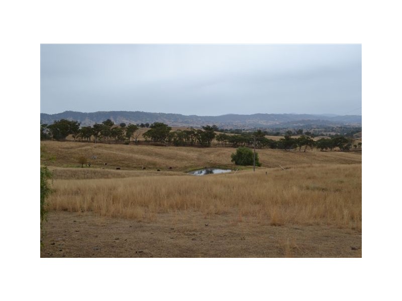 2200 Waverley Road, Timor NSW 2338