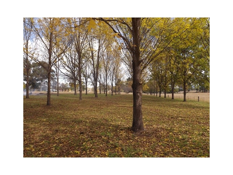 Coonabarabran NSW 2357