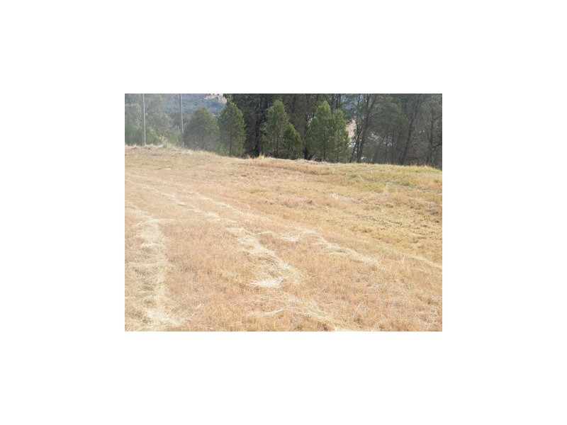 . Borah Creek Road, Quirindi NSW 2343