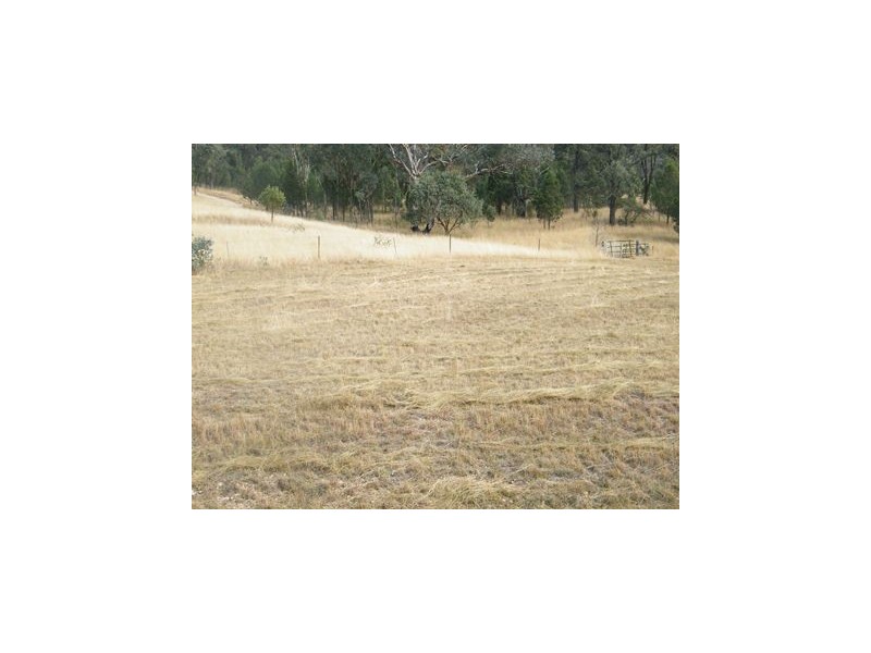 . Borah Creek Road, Quirindi NSW 2343