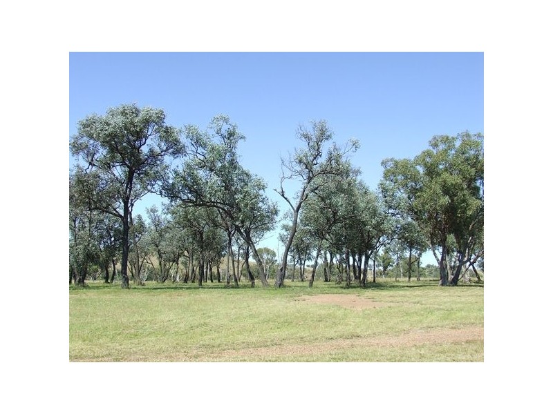 237 Beaumont Road, Ashford NSW 2361