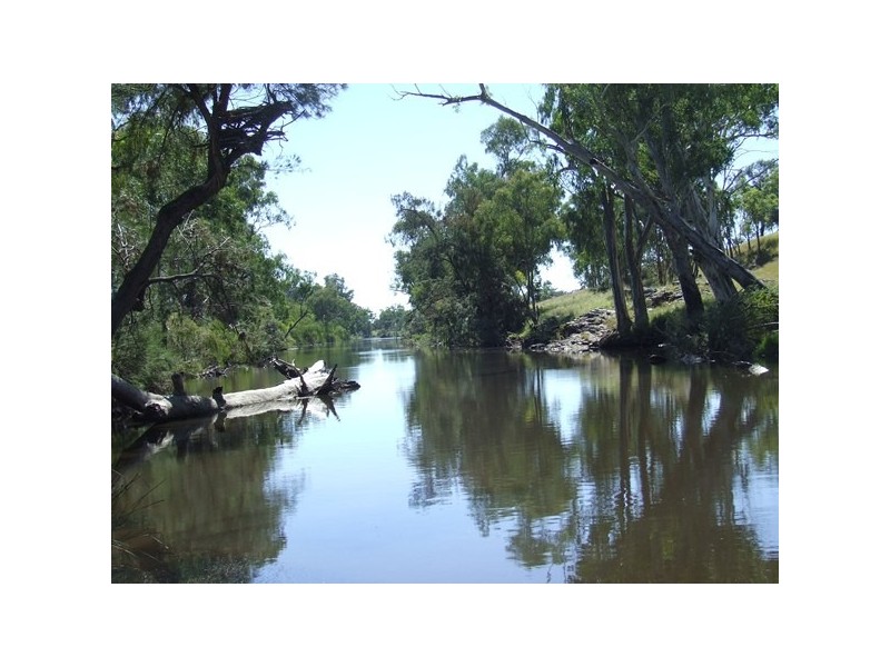 237 Beaumont Road, Ashford NSW 2361