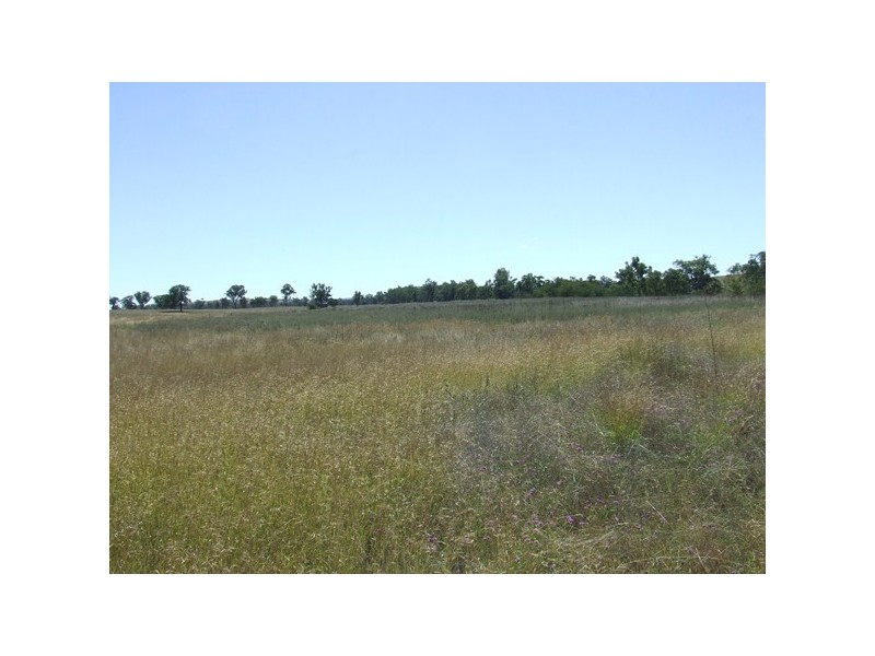 237 Beaumont Road, Ashford NSW 2361