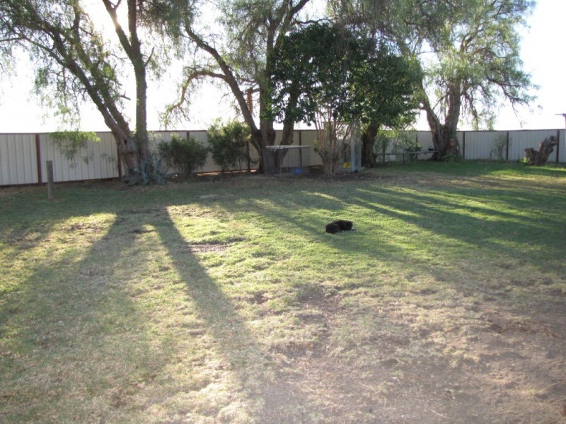 OAKWOOD Yetman Road, Inverell NSW 2360