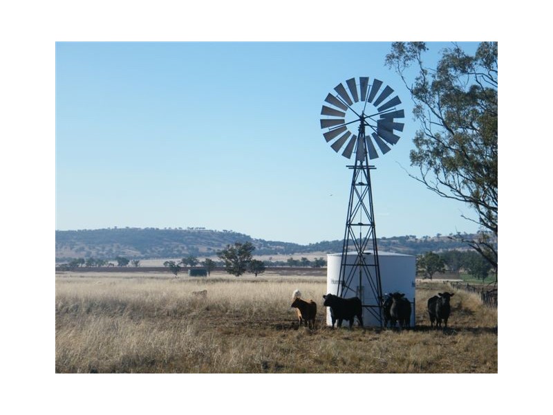 “Eloura”, Swinging Ridges Rd, Willow Tree NSW 2339