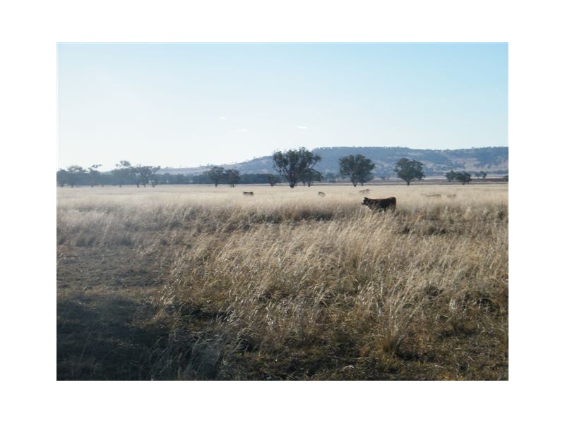 “Eloura”, Swinging Ridges Rd, Willow Tree NSW 2339