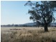 “Eloura”, Swinging Ridges Rd, Willow Tree NSW 2339