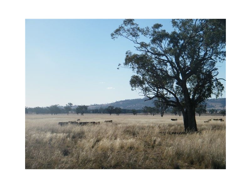 “Eloura”, Swinging Ridges Rd, Willow Tree NSW 2339