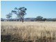 “Eloura”, Swinging Ridges Rd, Willow Tree NSW 2339