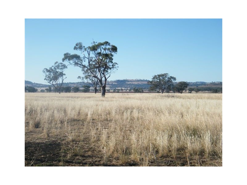 “Eloura”, Swinging Ridges Rd, Willow Tree NSW 2339