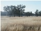 “Eloura”, Swinging Ridges Rd, Willow Tree NSW 2339