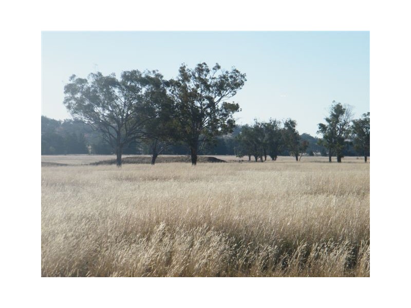 “Eloura”, Swinging Ridges Rd, Willow Tree NSW 2339