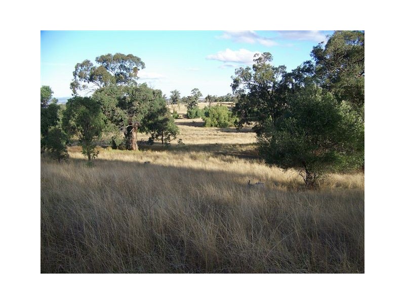 “Yarrafield” Winters Road, Scone NSW 2337