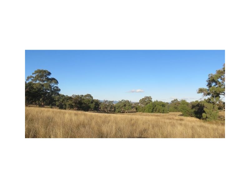 “Yarrafield” Winters Road, Scone NSW 2337