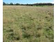 Lot 8 North Burrabadine Road, Dubbo NSW 2830