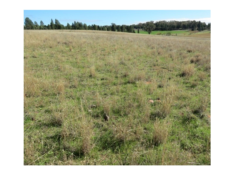 Lot 8 North Burrabadine Road, Dubbo NSW 2830