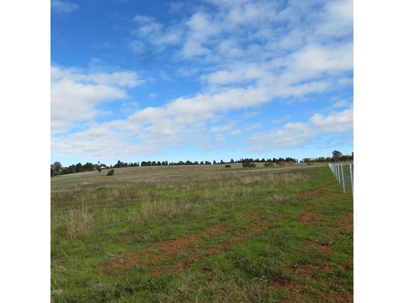 Lot 8 North Burrabadine Road, Dubbo NSW 2830