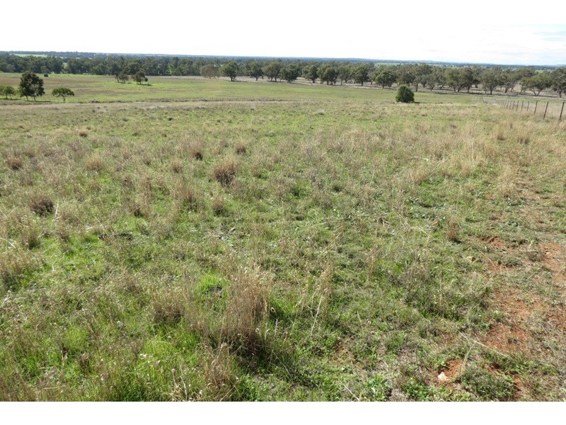 Lot 8 North Burrabadine Road, Dubbo NSW 2830