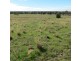 Lot 8 North Burrabadine Road, Dubbo NSW 2830