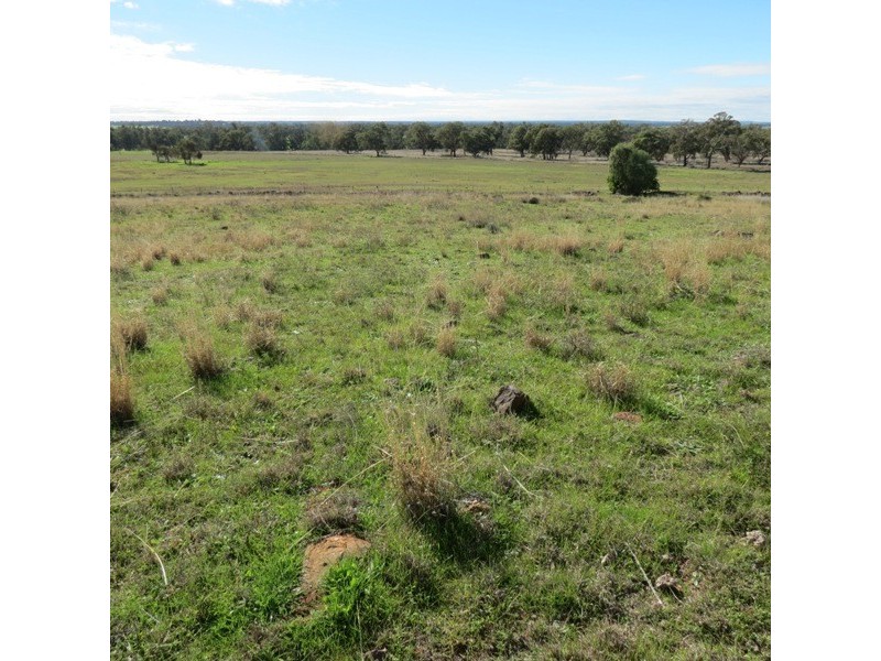 Lot 8 North Burrabadine Road, Dubbo NSW 2830