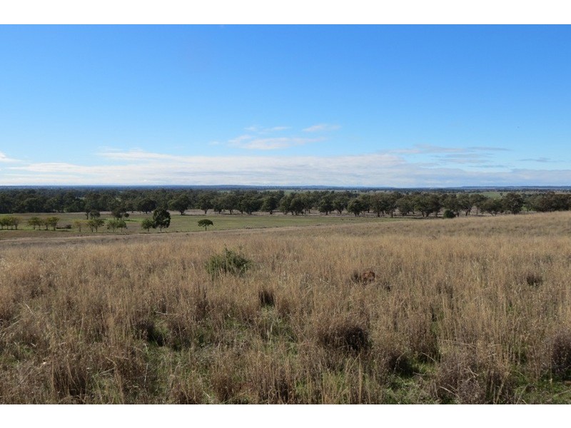 Lot 8 North Burrabadine Road, Dubbo NSW 2830