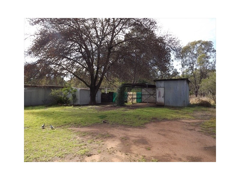 33 Nelson St, Coonabarabran NSW 2357