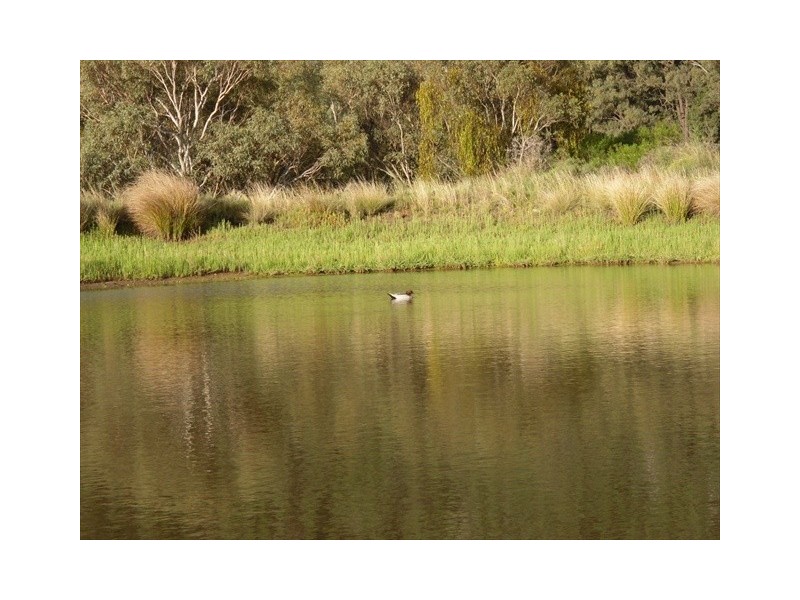 “Sandy Wells” Guinema Rd, Bugaldie NSW 2357
