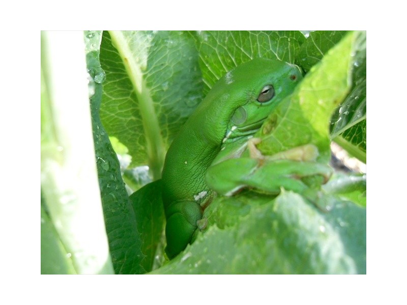 “Sandy Wells” Guinema Rd, Bugaldie NSW 2357