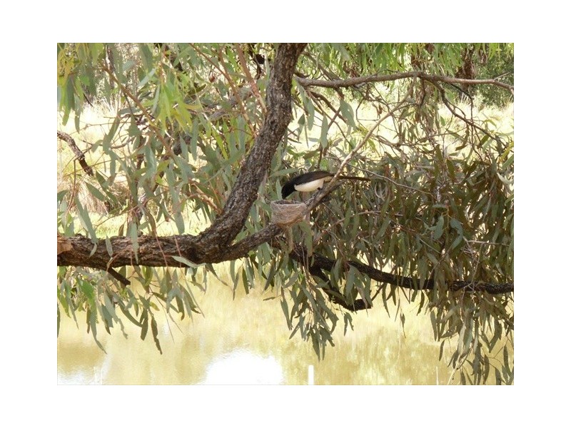 “Sandy Wells” Guinema Rd, Bugaldie NSW 2357