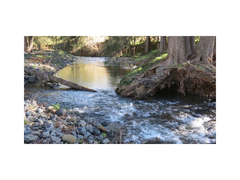 870 Stewarts Brook Road, Scone NSW 2337