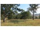 870 Stewarts Brook Road, Scone NSW 2337