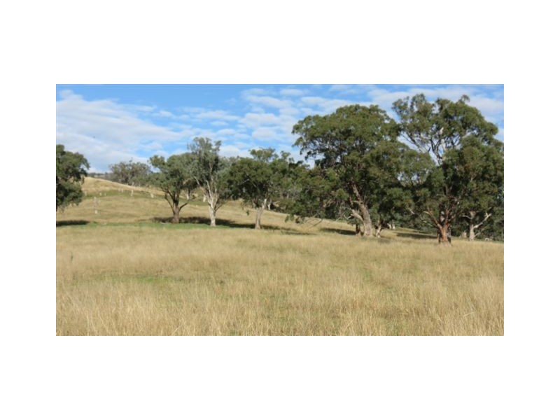 870 Stewarts Brook Road, Scone NSW 2337