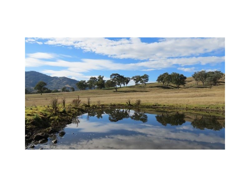 870 Stewarts Brook Road, Scone NSW 2337