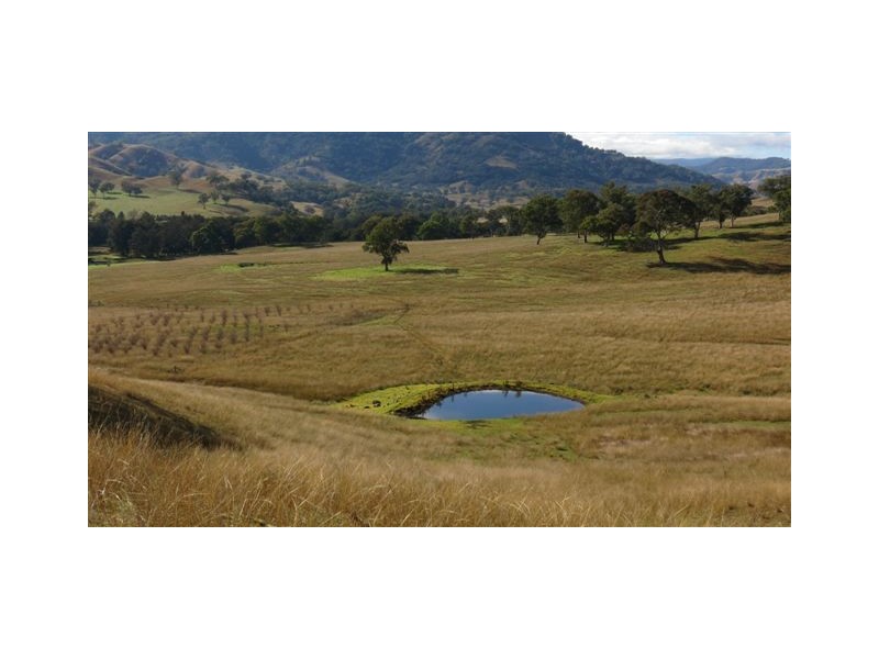 870 Stewarts Brook Road, Scone NSW 2337