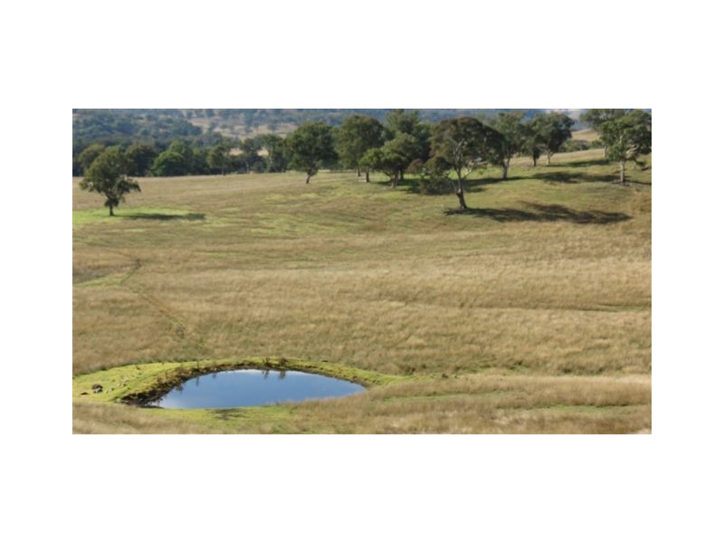 870 Stewarts Brook Road, Scone NSW 2337