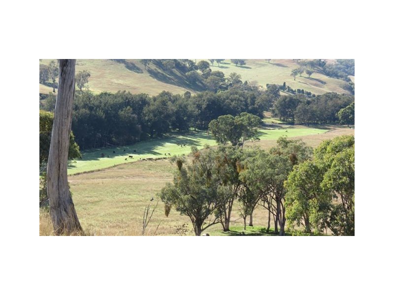 870 Stewarts Brook Road, Scone NSW 2337