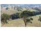 870 Stewarts Brook Road, Scone NSW 2337