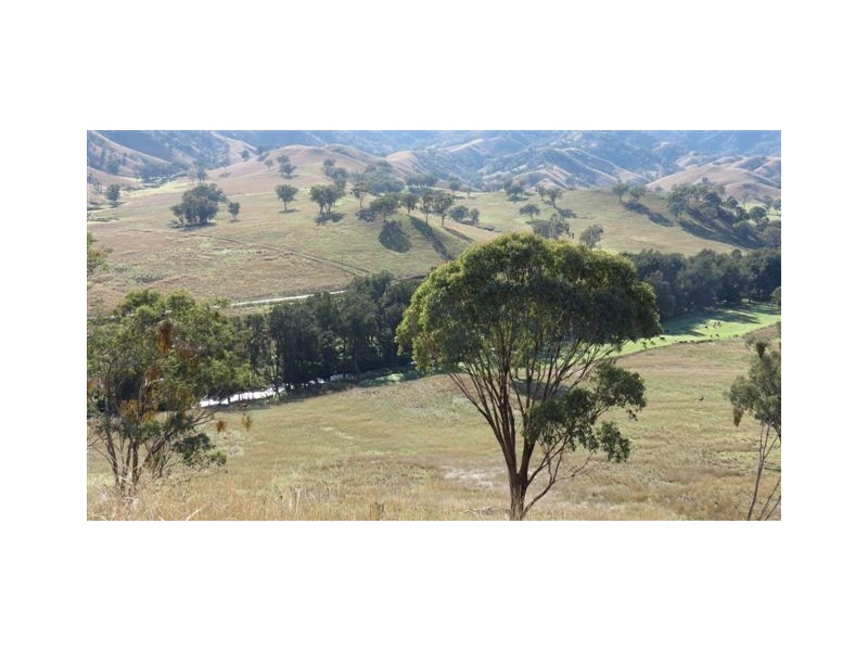 870 Stewarts Brook Road, Scone NSW 2337