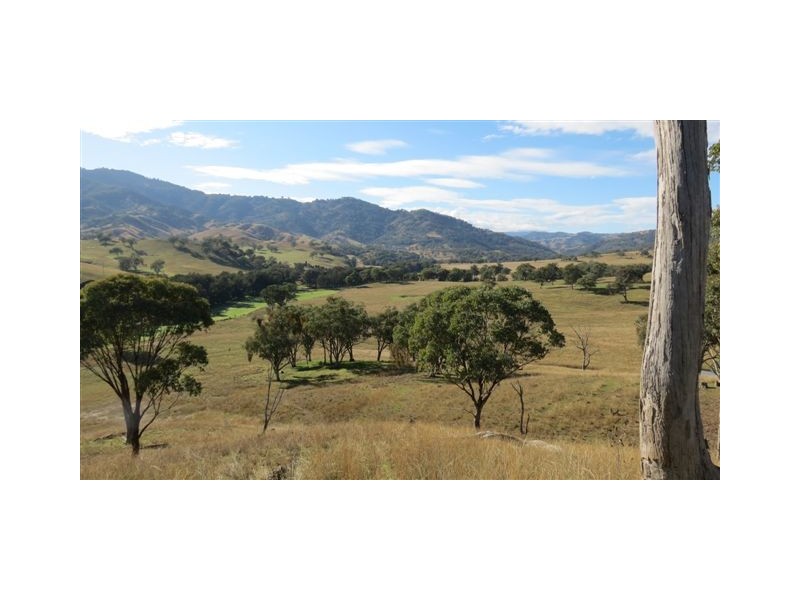 870 Stewarts Brook Road, Scone NSW 2337