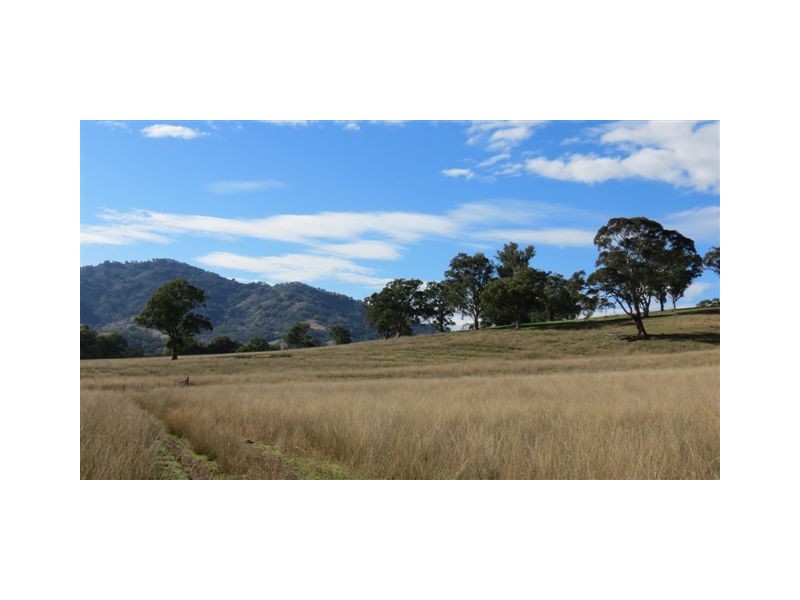 870 Stewarts Brook Road, Scone NSW 2337