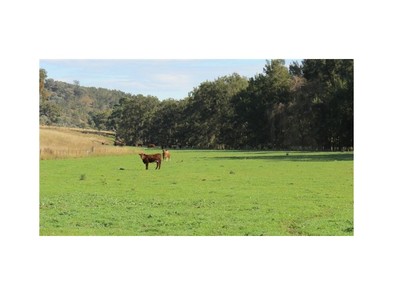870 Stewarts Brook Road, Scone NSW 2337
