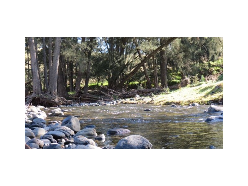 870 Stewarts Brook Road, Scone NSW 2337