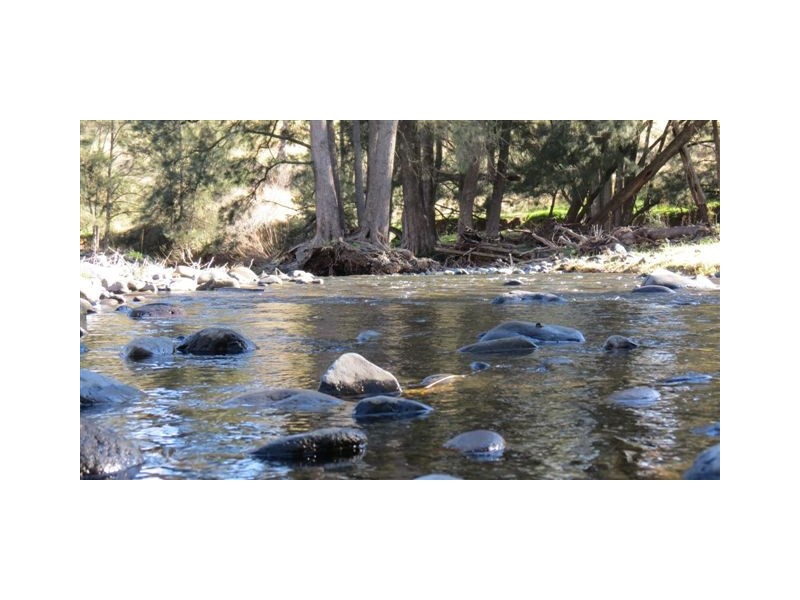 870 Stewarts Brook Road, Scone NSW 2337