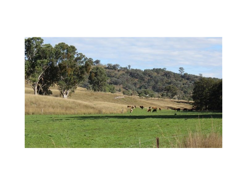 870 Stewarts Brook Road, Scone NSW 2337