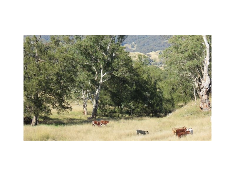 870 Stewarts Brook Road, Scone NSW 2337