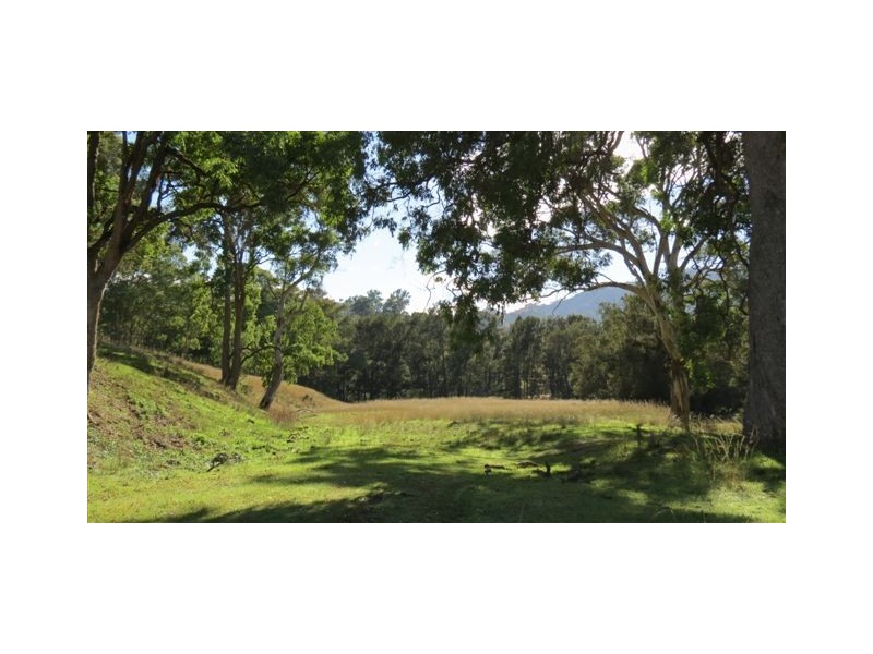 870 Stewarts Brook Road, Scone NSW 2337