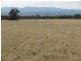 Greylands Rd, Part of Willafar,, Narrabri NSW 2390