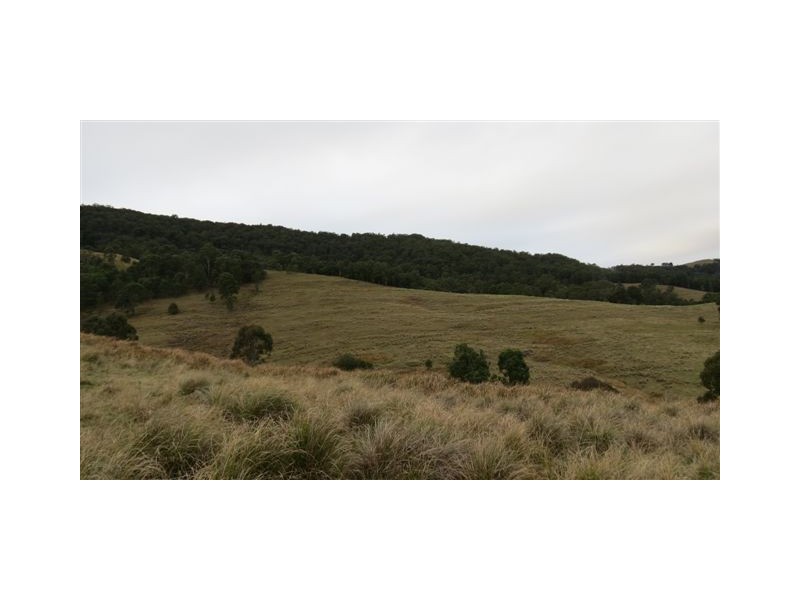 Part Glen Oak Bowmans Creek Road, Singleton NSW 2330