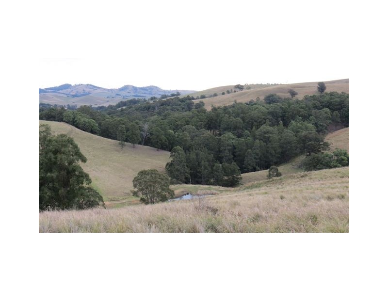 Part Glen Oak Bowmans Creek Road, Singleton NSW 2330