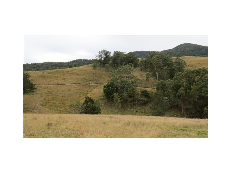 Part Glen Oak Bowmans Creek Road, Singleton NSW 2330